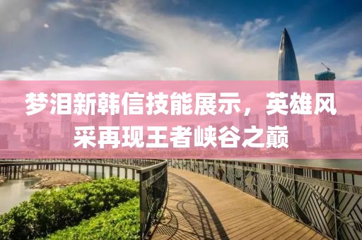 夢淚新韓信技能展示，英雄風(fēng)采再現(xiàn)王者峽谷之巔