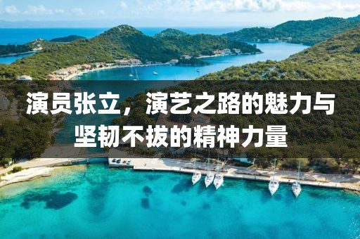 演員張立，演藝之路的魅力與堅(jiān)韌不拔的精神力量