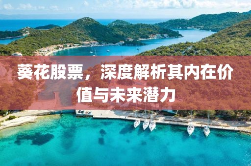 葵花股票，深度解析其內(nèi)在價值與未來潛力