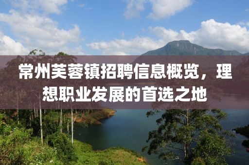 常州芙蓉鎮(zhèn)招聘信息概覽，理想職業(yè)發(fā)展的首選之地