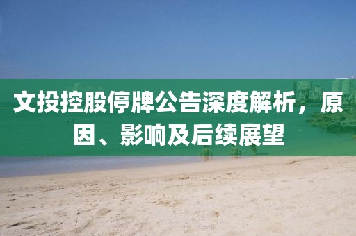 文投控股停牌公告深度解析，原因、影響及后續(xù)展望