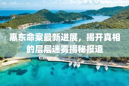 惠東命案最新進(jìn)展，揭開真相的層層迷霧揭秘報(bào)道