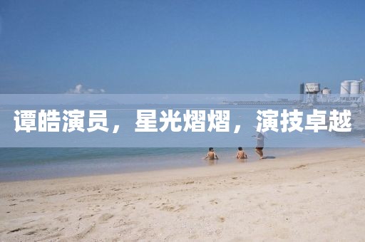 譚皓演員，星光熠熠，演技卓越