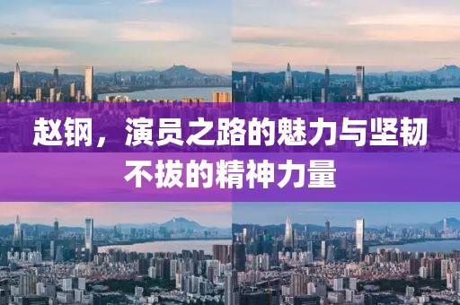 趙鋼，演員之路的魅力與堅韌不拔的精神力量