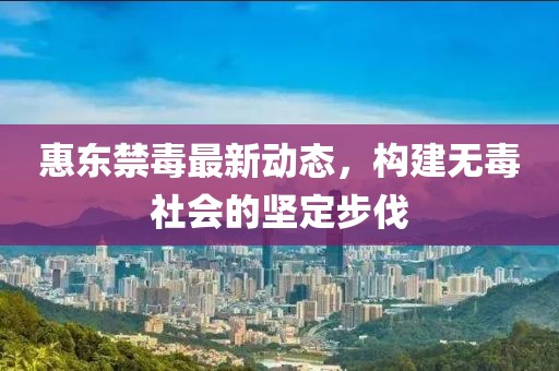 惠東禁毒最新動態(tài)，構建無毒社會的堅定步伐