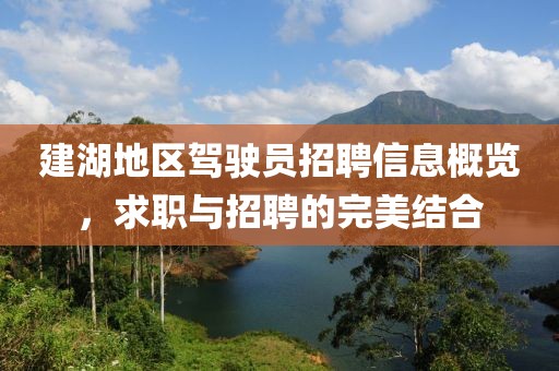 建湖地區(qū)駕駛員招聘信息概覽，求職與招聘的完美結(jié)合