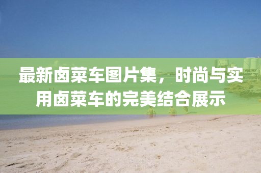 最新鹵菜車圖片集，時(shí)尚與實(shí)用鹵菜車的完美結(jié)合展示