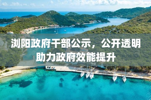 瀏陽政府干部公示，公開透明助力政府效能提升