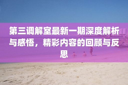 第三調(diào)解室最新一期深度解析與感悟，精彩內(nèi)容的回顧與反思