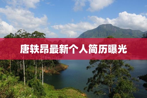 唐軼昂最新個人簡歷曝光