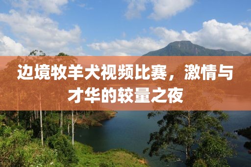邊境牧羊犬視頻比賽，激情與才華的較量之夜