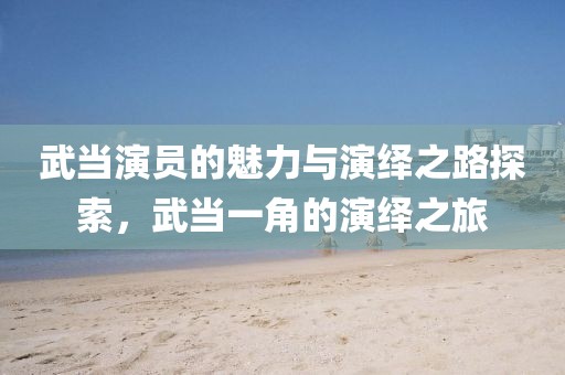 武當(dāng)演員的魅力與演繹之路探索，武當(dāng)一角的演繹之旅