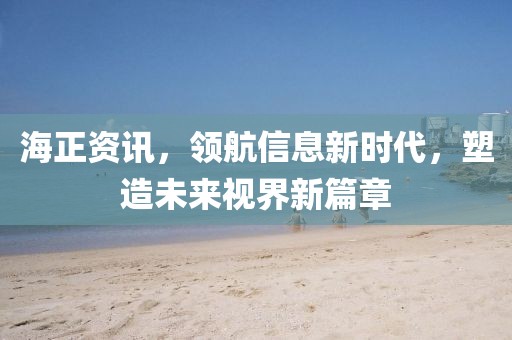 海正資訊，領(lǐng)航信息新時代，塑造未來視界新篇章