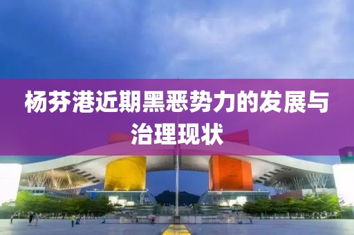 楊芬港近期黑惡勢力的發(fā)展與治理現(xiàn)狀