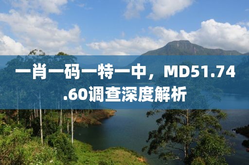 一肖一碼一特一中，MD51.74.60調(diào)查深度解析