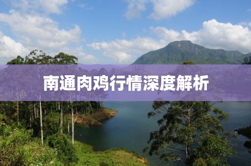 南通肉雞行情深度解析
