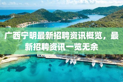 廣西寧明最新招聘資訊概覽，最新招聘資訊一覽無余