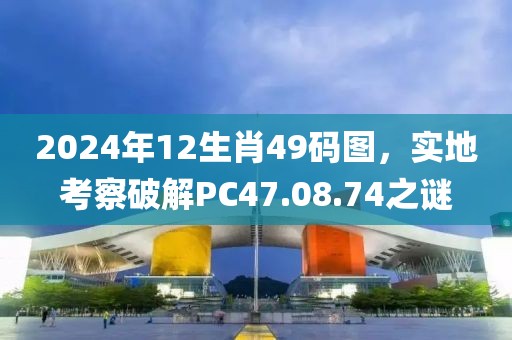 2024年12生肖49碼圖，實地考察破解PC47.08.74之謎