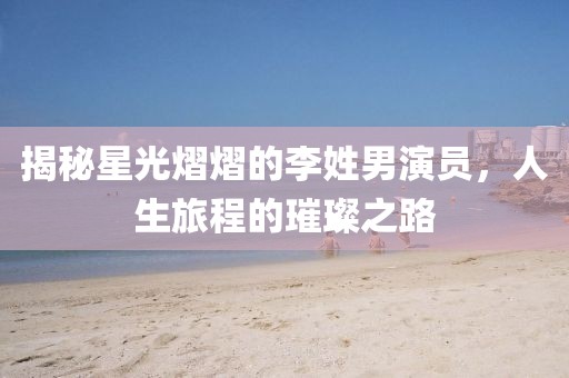 揭秘星光熠熠的李姓男演員，人生旅程的璀璨之路