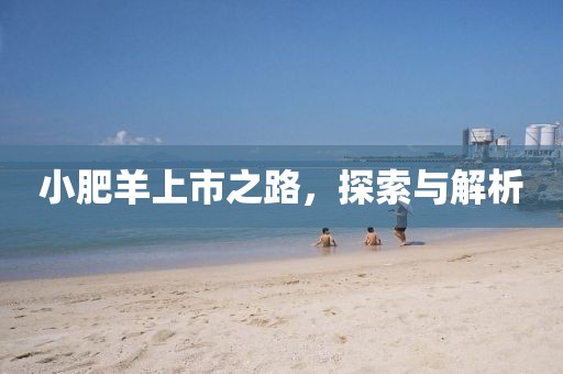 小肥羊上市之路，探索與解析