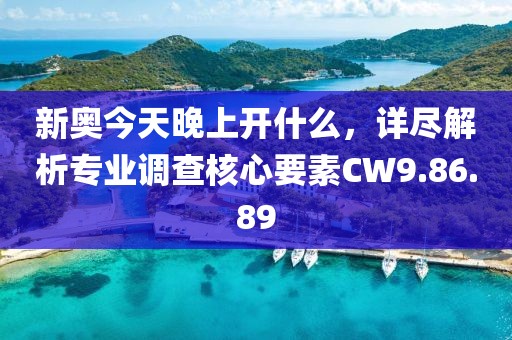 新奧今天晚上開什么，詳盡解析專業(yè)調(diào)查核心要素CW9.86.89