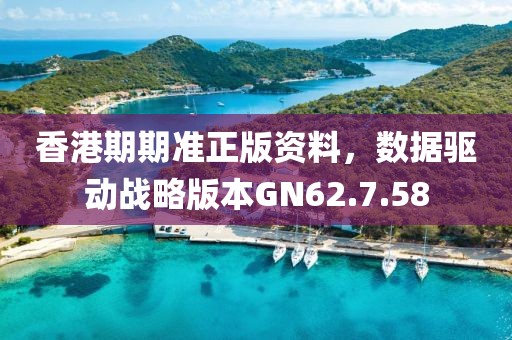 香港期期準(zhǔn)正版資料，數(shù)據(jù)驅(qū)動(dòng)戰(zhàn)略版本GN62.7.58