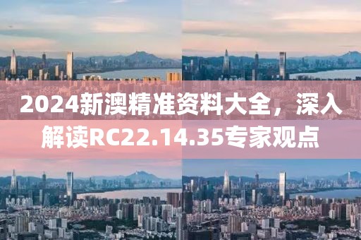 2024新澳精準(zhǔn)資料大全，深入解讀RC22.14.35專家觀點(diǎn)