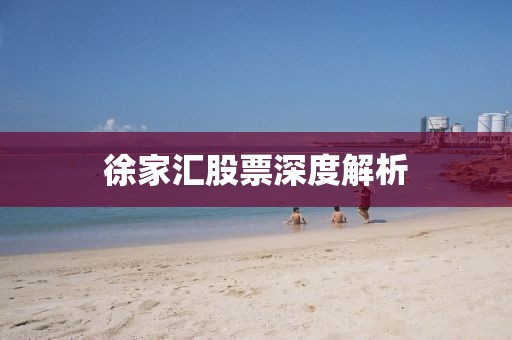 徐家匯股票深度解析