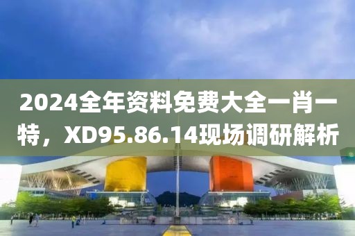 2024全年資料免費(fèi)大全一肖一特，XD95.86.14現(xiàn)場調(diào)研解析
