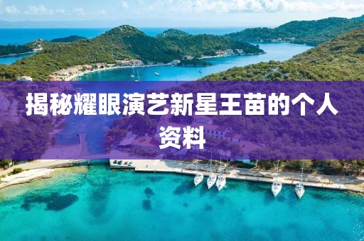 揭秘耀眼演藝新星王苗的個(gè)人資料