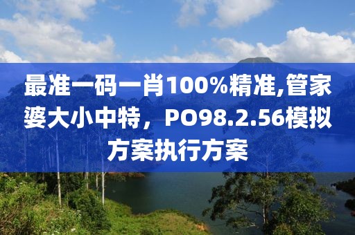 最準一碼一肖100%精準,管家婆大小中特，PO98.2.56模擬方案執(zhí)行方案