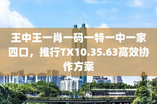 王中王一肖一碼一特一中一家四口，推行TX10.35.63高效協(xié)作方案