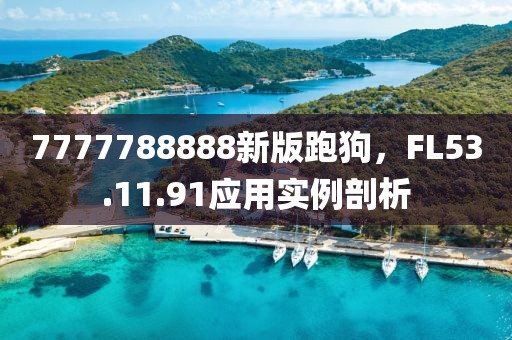 7777788888新版跑狗，F(xiàn)L53.11.91應(yīng)用實例剖析