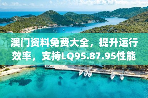 澳門資料免費(fèi)大全，提升運(yùn)行效率，支持LQ95.87.95性能