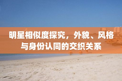 明星相似度探究，外貌、風(fēng)格與身份認(rèn)同的交織關(guān)系