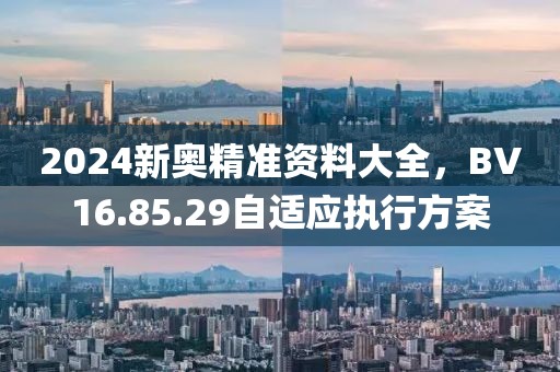 2024新奧精準(zhǔn)資料大全，BV16.85.29自適應(yīng)執(zhí)行方案