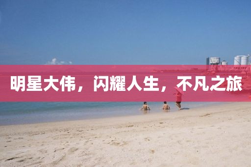 明星大偉，閃耀人生，不凡之旅