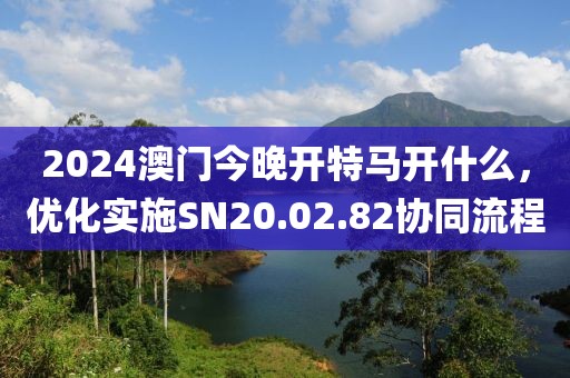 2024澳門今晚開特馬開什么，優(yōu)化實施SN20.02.82協(xié)同流程