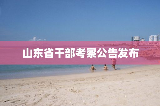 山東省干部考察公告發(fā)布