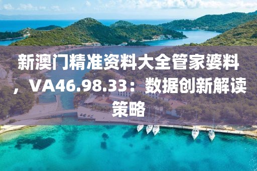 新澳門精準(zhǔn)資料大全管家婆料，VA46.98.33：數(shù)據(jù)創(chuàng)新解讀策略