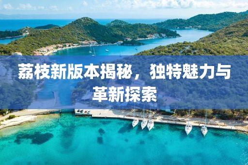 荔枝新版本揭秘，獨(dú)特魅力與革新探索