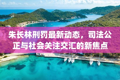 朱長林刑罰最新動態(tài)，司法公正與社會關(guān)注交匯的新焦點