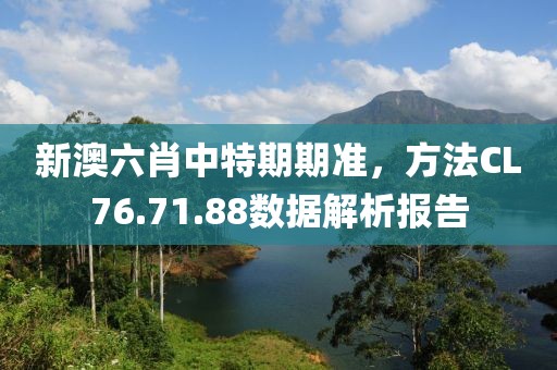 新澳六肖中特期期準，方法CL76.71.88數(shù)據(jù)解析報告