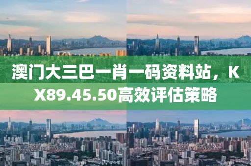 澳門大三巴一肖一碼資料站，KX89.45.50高效評估策略