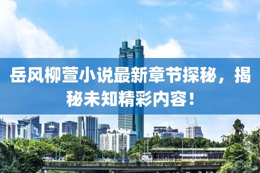 岳風(fēng)柳萱小說最新章節(jié)探秘，揭秘未知精彩內(nèi)容！
