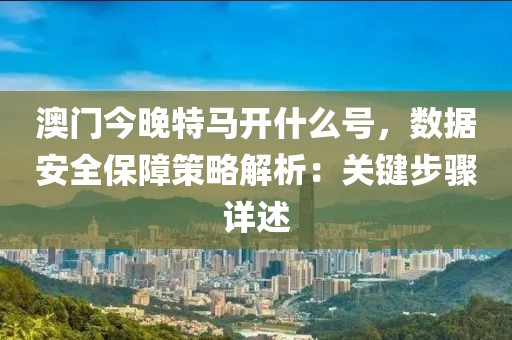 澳門今晚特馬開什么號，數據安全保障策略解析：關鍵步驟詳述
