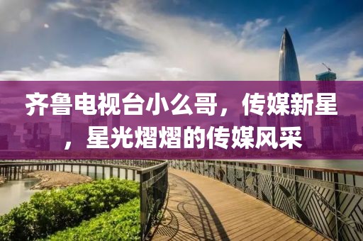 齊魯電視臺小么哥，傳媒新星，星光熠熠的傳媒風采