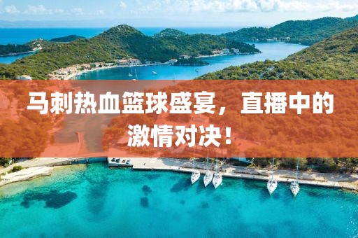 馬刺熱血籃球盛宴，直播中的激情對決！