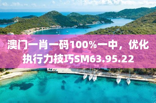 澳門一肖一碼100%一中，優(yōu)化執(zhí)行力技巧SM63.95.22
