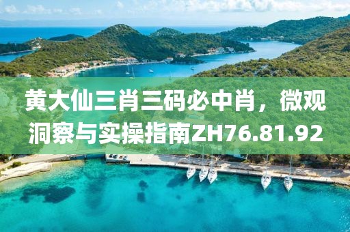 黃大仙三肖三碼必中肖，微觀洞察與實(shí)操指南ZH76.81.92